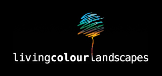 living-colour-landscapes